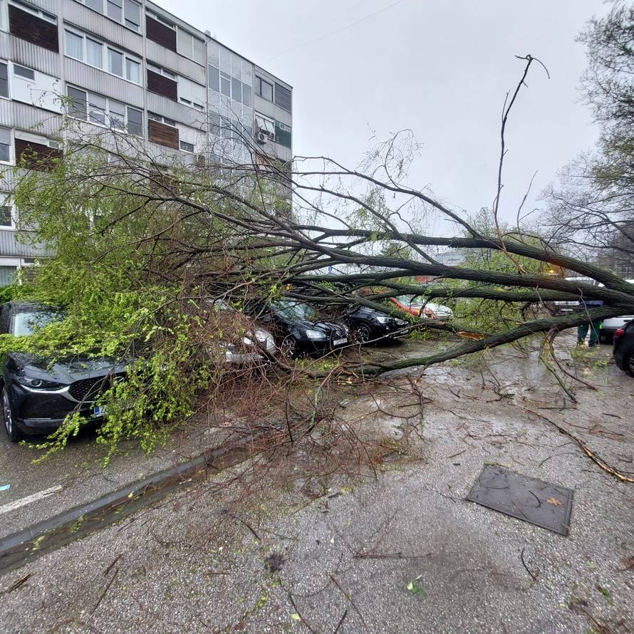 Evo koliko su vatrogasci imali intervencija zbog oluje
