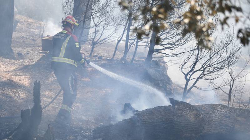 Požar kod Jesenice još nije lokaliziran: Stotinu vatrogasaca je cijelu noć gasilo požar...