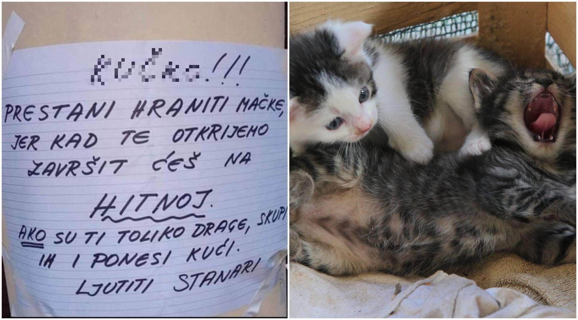 'Ku*ko, prestani hraniti gladne mačiće, završit ćeš na Hitnoj...'