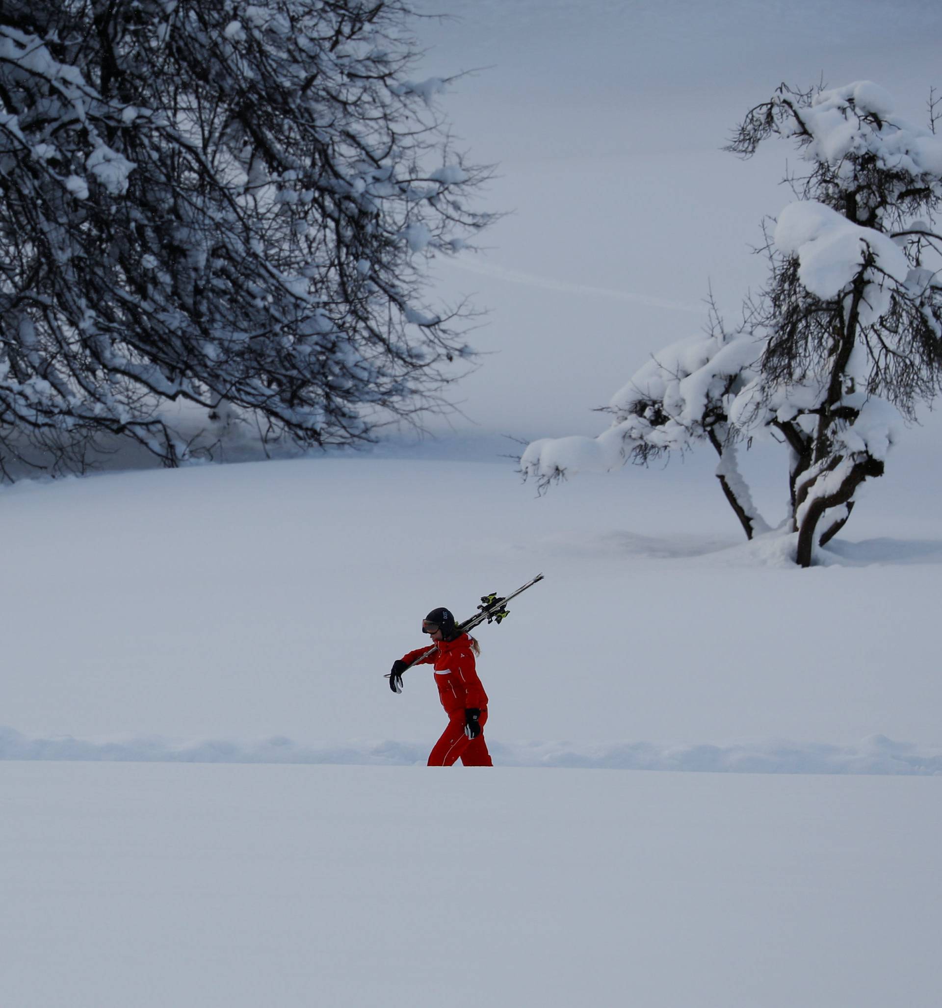 A skier walks past snow-covered trees after heavy snowfall in Flachau