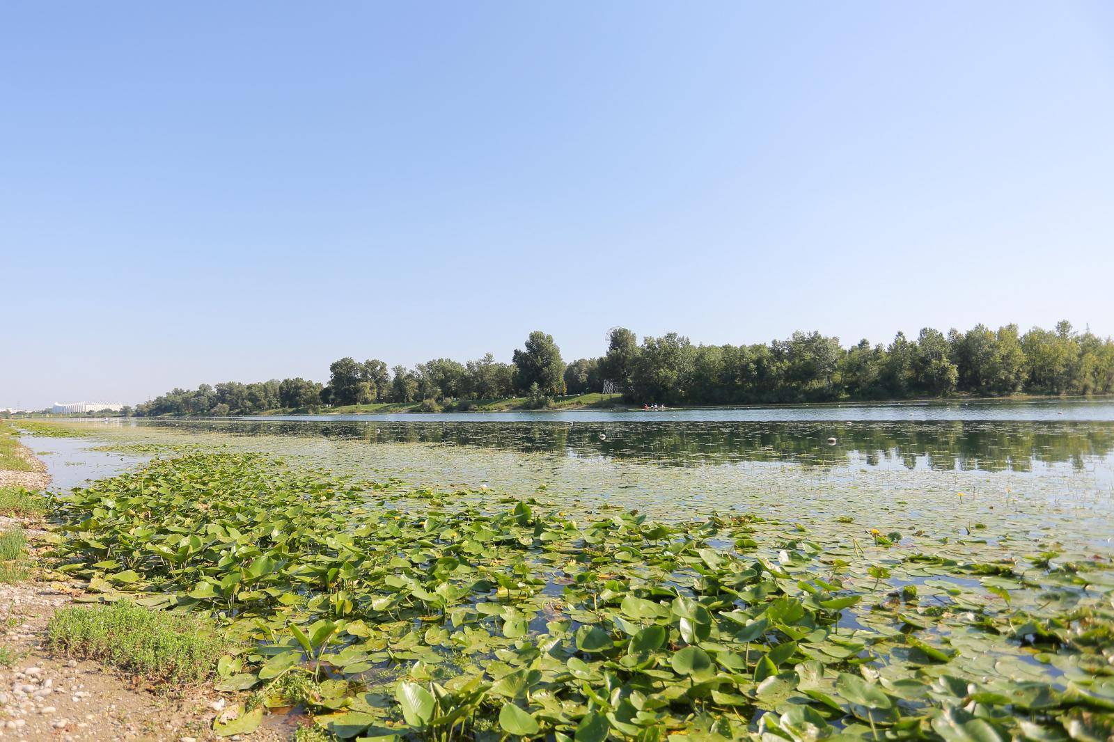 'Umjesto treninga, na Jarunu naši sportaši skupljaju lopoče!'