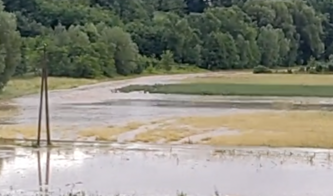 VIDEO Kiša stvara kaos i kod Daruvara: 'Strašno, pola sela je pod vodom, stradale su svinje'