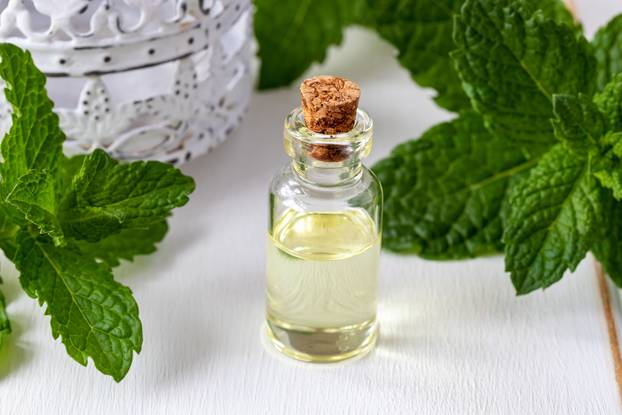 A bottle of essential oil with fresh peppermint leaves