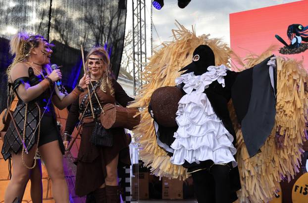 Velika povorka maskiranih grupa na 200. Samoborskom fašniku