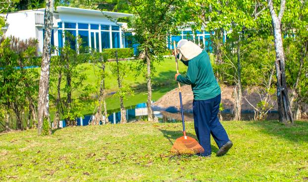 A,Janitor,Cleans,The,Lawn,Area,From,Leaves,And,Mown