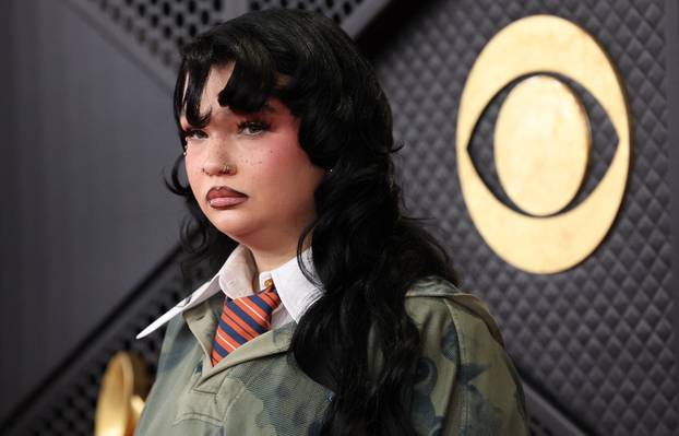 Premiere ceremony of the 68th Annual Grammy Awards in Los Angeles