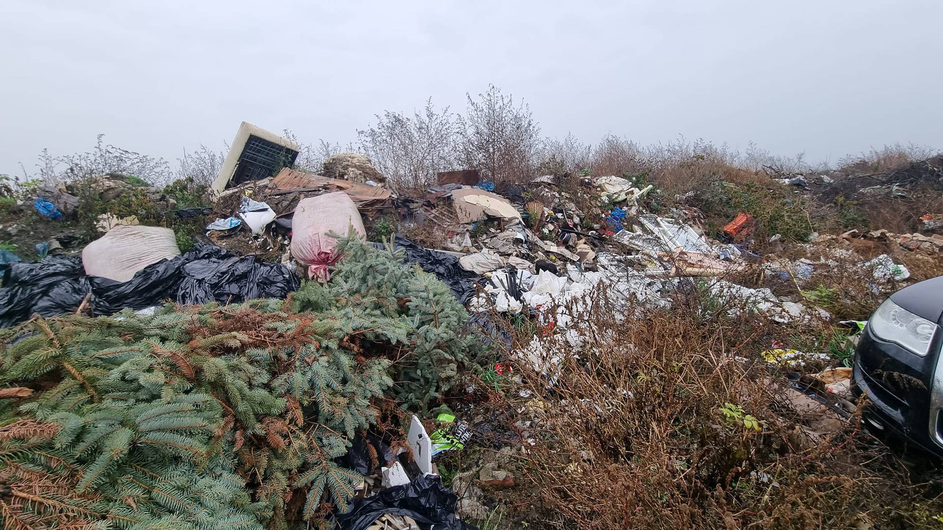 U novoj masovnoj grobnici kod Vukovara pronašli su posmrtne ostatke 10 ljudi, stigao Medved