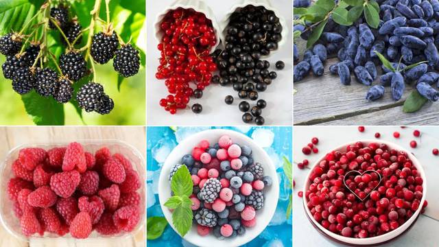 Tajne bobičastog voća - ovo su sve blagodati za zdravlje i tijelo