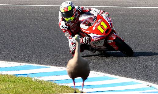 Kva kva kva, brža sam od tebe: Motociklistu je usred utrke u Australiji uletjela patka...