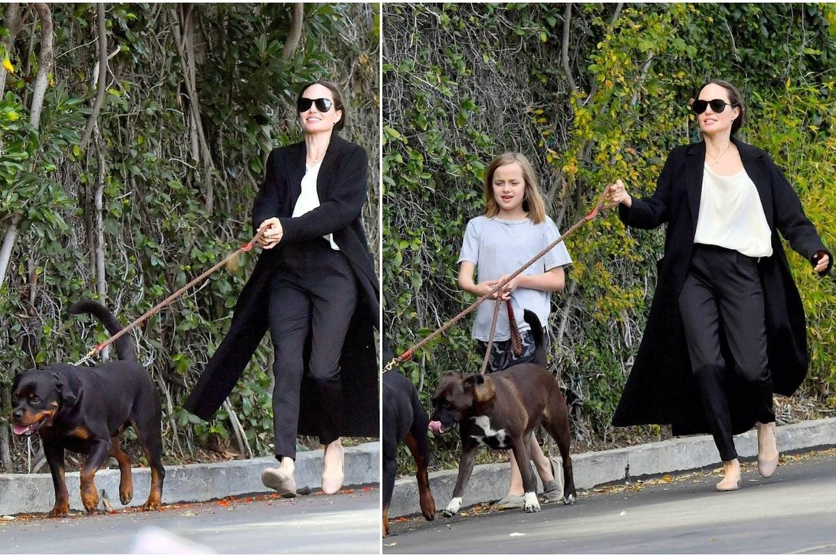 Dok se Brad mučio s bivšima, Angelina se 'borila' s psima...