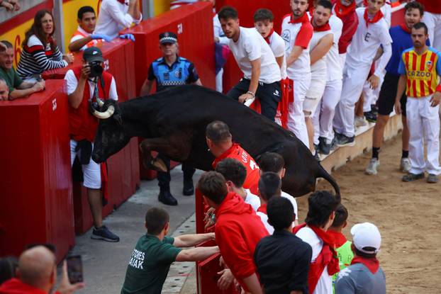 Pamplona's San Fermin festival