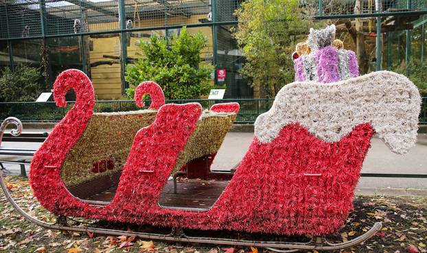 Zagrebački ZOO vrt  spreman je za adventsko vrijeme