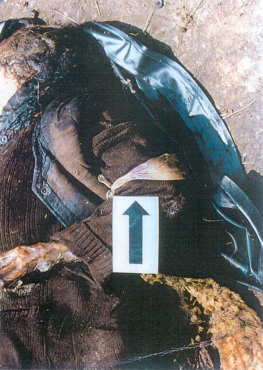 Srpska paravojska natjerala ih 'brati grožđe' u minskom polju. Uhvatili su se za ruke i krenuli...