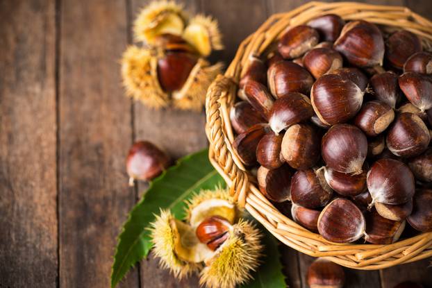 Fresh chestnuts in the basket