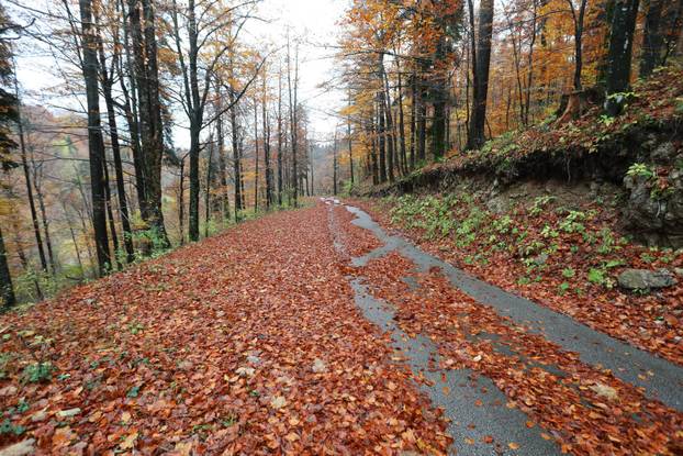 Delnice: Boje jeseni u Gorskom kotaru