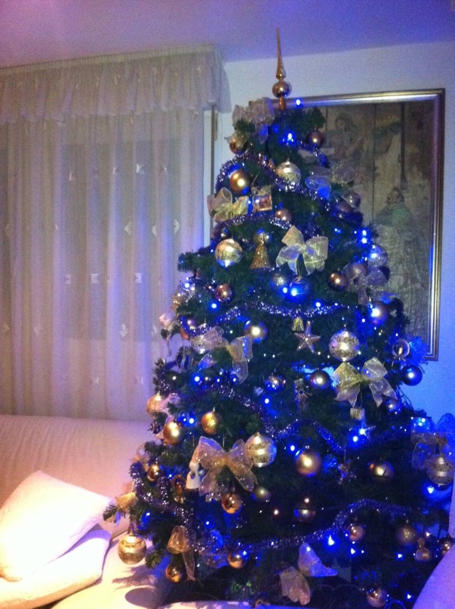 Šaljite fotografije božićnih jelki i osvojite vrijednu nagradu...