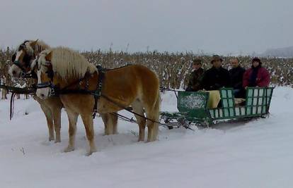 Snježne dane Slavonci krate u vožnji saonicama