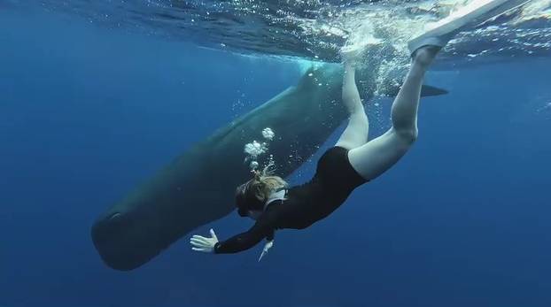 Sunce i planine? Za slovensku boardericu to znači slobodu...