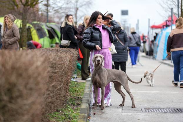 Izložba pasa svih pasmina ispred shopping centra Westgate City u Zaprešiću