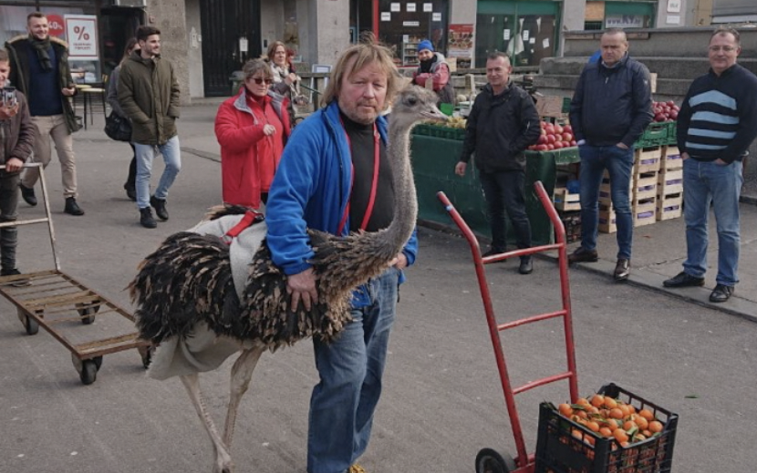 Franci je zvijezda u Sloveniji, a obožava banane, jaja i kekse