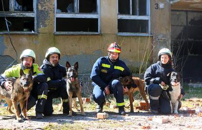 Pseći vatrogasci mogu nanjušiti ljude zatrpane ispod ruševina: 'U Petrinji su bili jako ozbiljni'