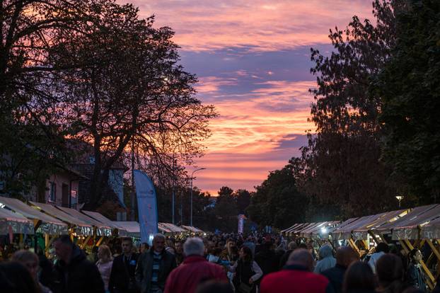 Održana 21. Bučijada i Sajam bučina ulja u Ivanić-Gradu