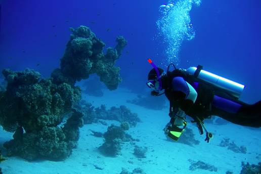 FOTO Top lokacije za ronjenje u Europi i Hrvatskoj: Zavirite u ljepotu podvodnog &zcaron;ivota!