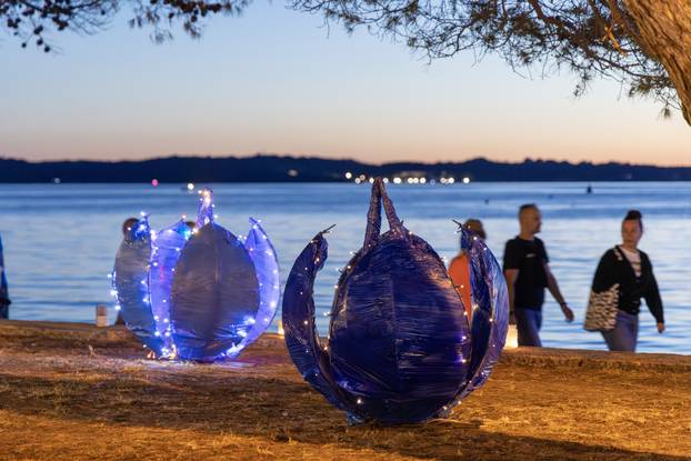 Fažana: Održana manifestacija "Rapsodija u plavom"