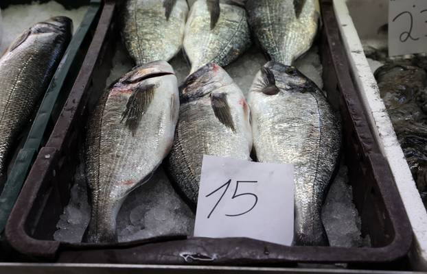 Šibenik: Poskupljenje plavog dizela još se nije odrazilo na cijene u ribarnici