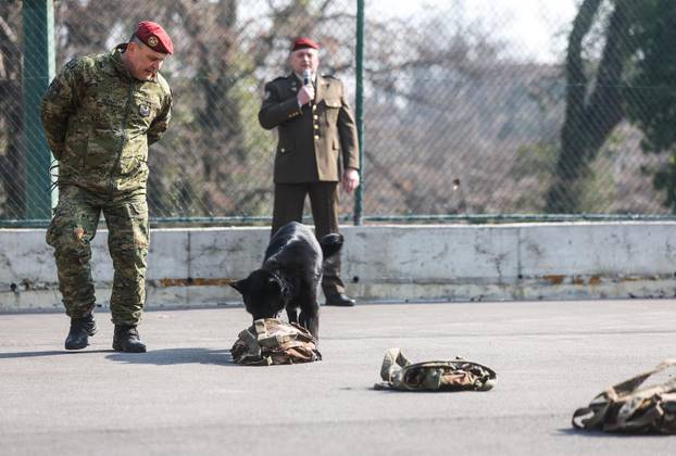 Zagreb: Dan otvorenih vrata Počasno - zaštitne bojne 