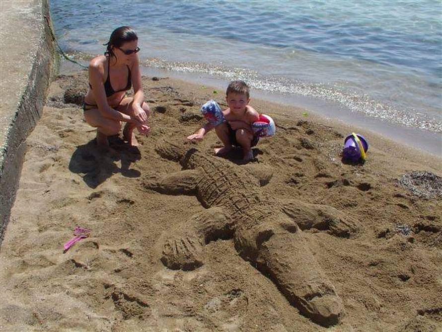 Vedrana Čučuković