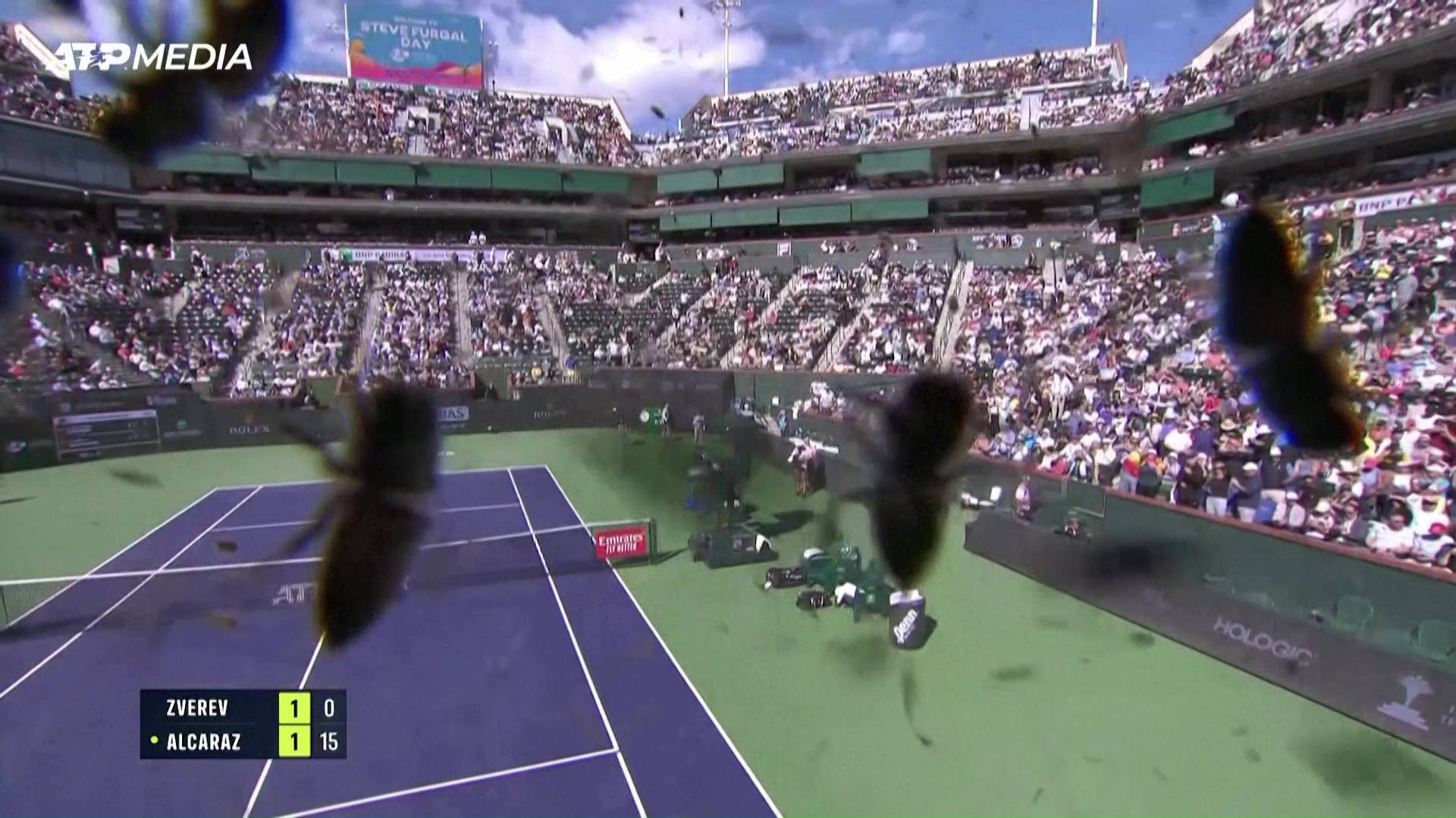 VIDEO Najezda pčela prekinula teniski meč Alcaraza i Zvereva!