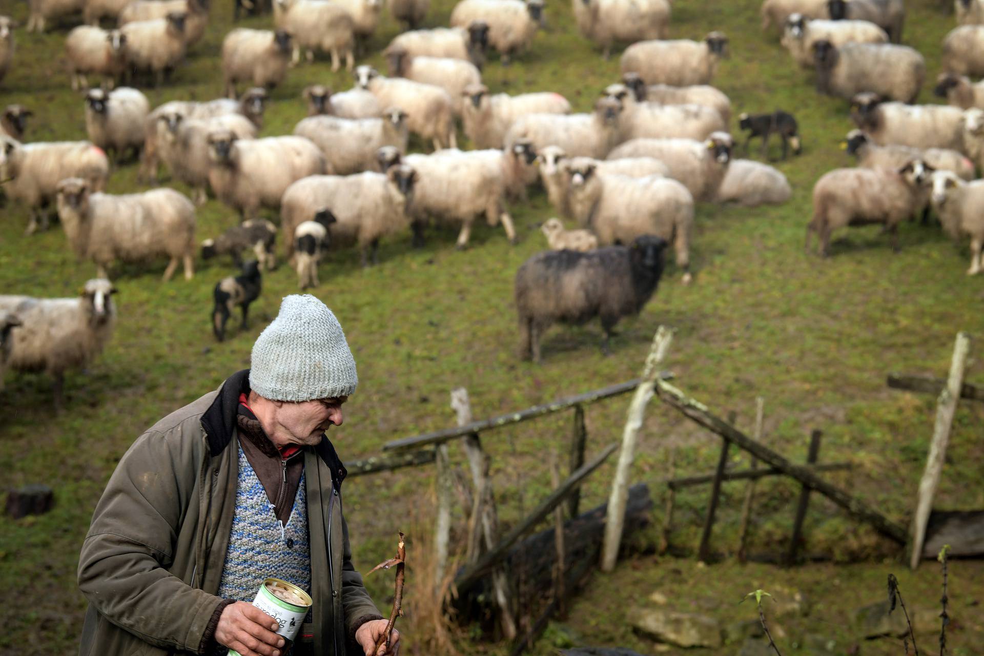 'Kuća mi je ostala čitava, a ovce su se uznemirile prije potresa'