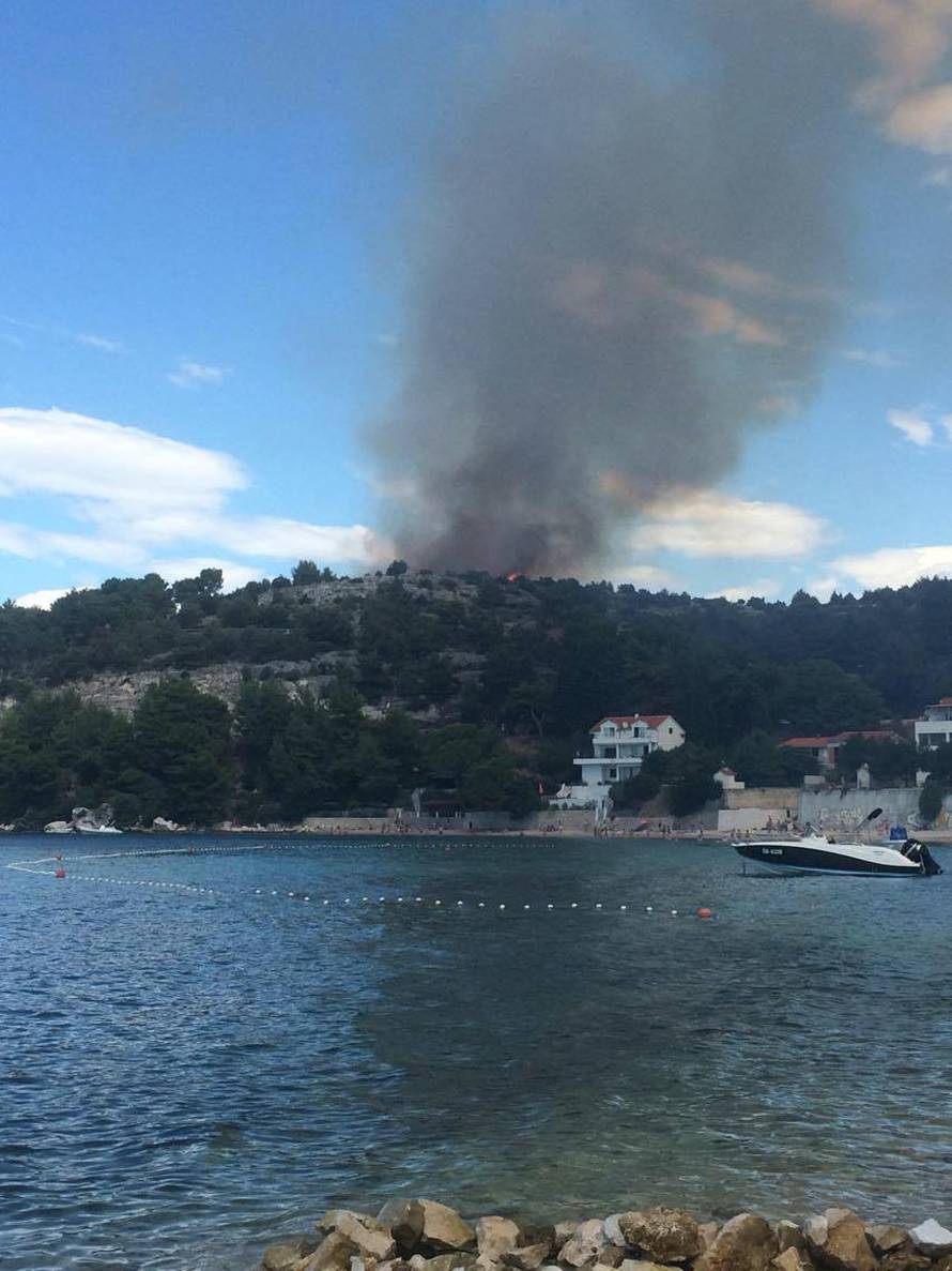 U Žaboriću gori borova šuma, vatrena stihija prijeti kućama