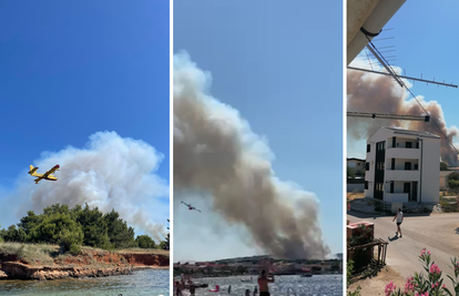 VIDEO Izbio je veliki požar na otoku Viru: 'Gori šuma u blizini kuća, požar gase kanaderi'