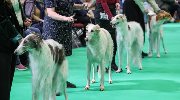 Crufts, Thursday