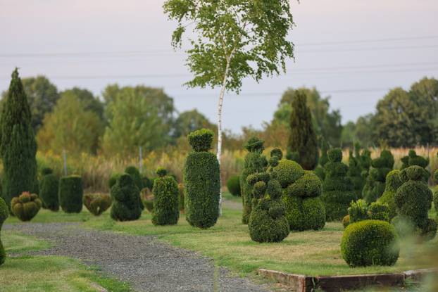 Bajkoviti vrt u srcu Međimurja: Prvi i jedini Topiary park u Hrvatskoj krije se u Sračincu