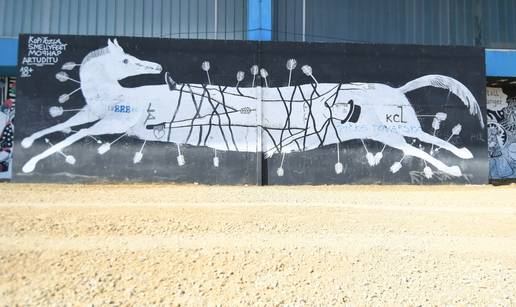 FOTO Murali kod srednje &scaron;kole iznena&dstrok;uju gra&dstrok;ane - Dominira prikaz konja i mornara