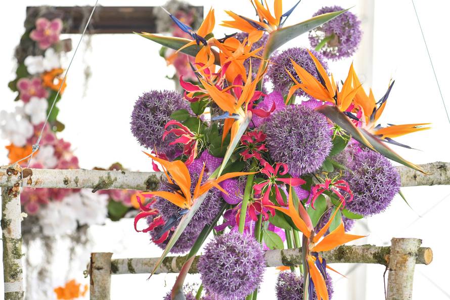 Floraart: Sadnice cvijeća od 2 kune, a za 25 mini vrt u posudi