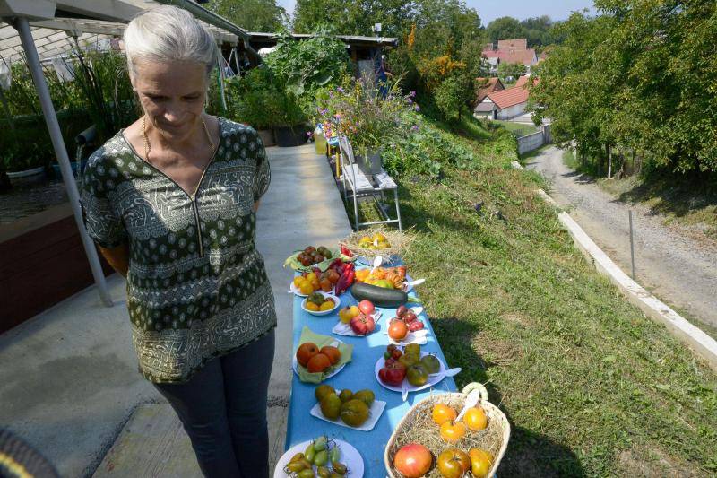 Trudi je 'guru' za rajčice: 'Poha se kao šnicla i jednako je fino'