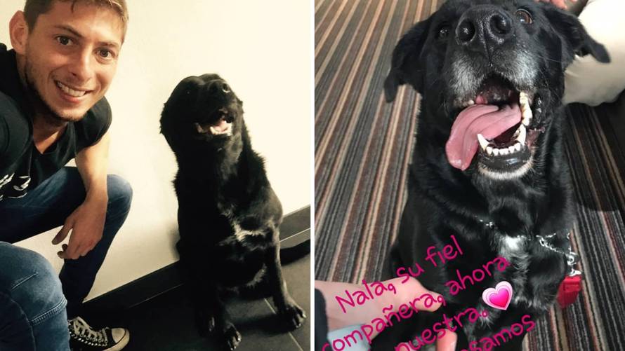 Emilianova vjerna Nala dobila novi dom: Ona je naša obitelj...