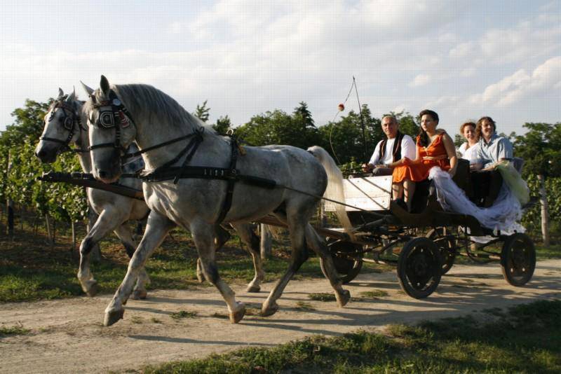 Željko Garmaz