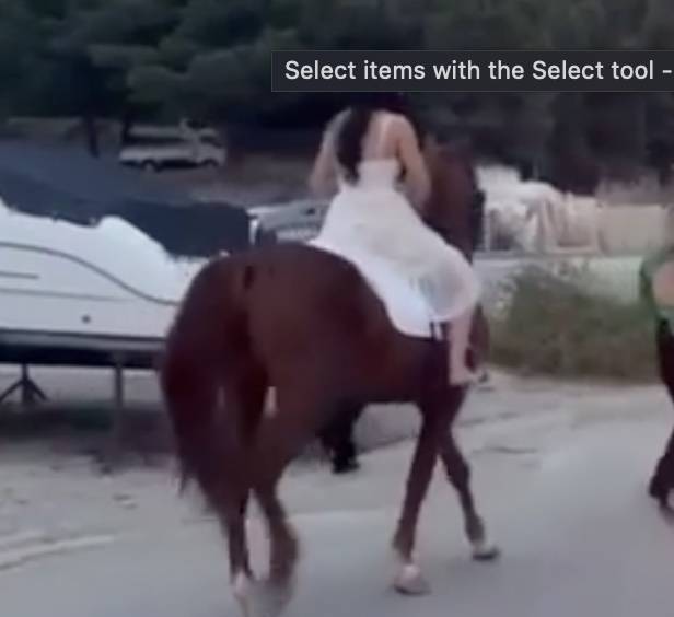 VIDEO Vjenčanje u Solinu: 'On je vozio motor, a ona jahala konja. Hari je sve začinio i oduševio...'