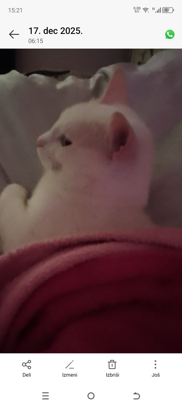 SUPER FOTKE vaših ljubimaca! Neki bi mogli biti viralni hit, ali svi su jednostavno neodoljivi