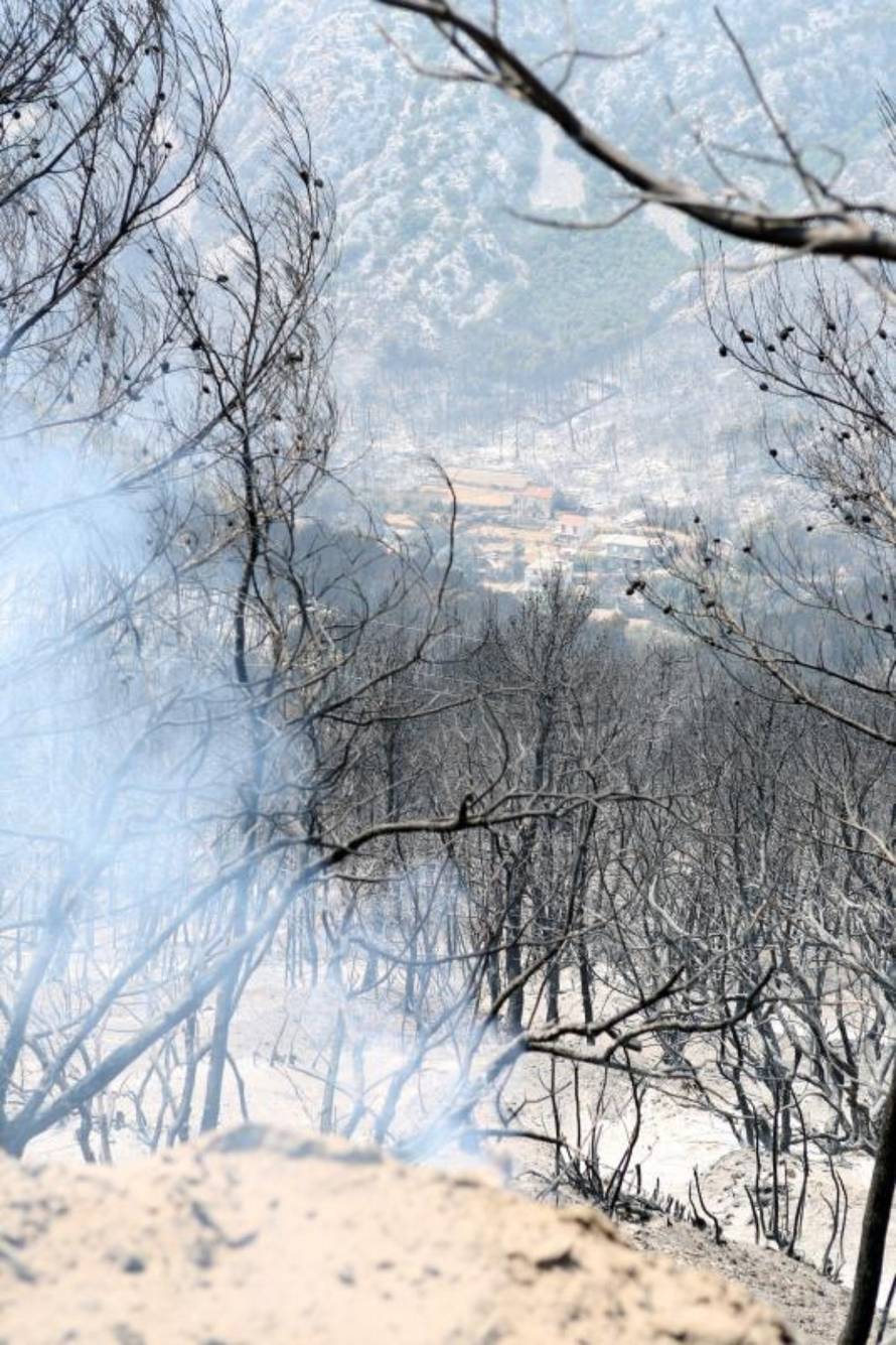 Grgo Jelavić/PIXSELL