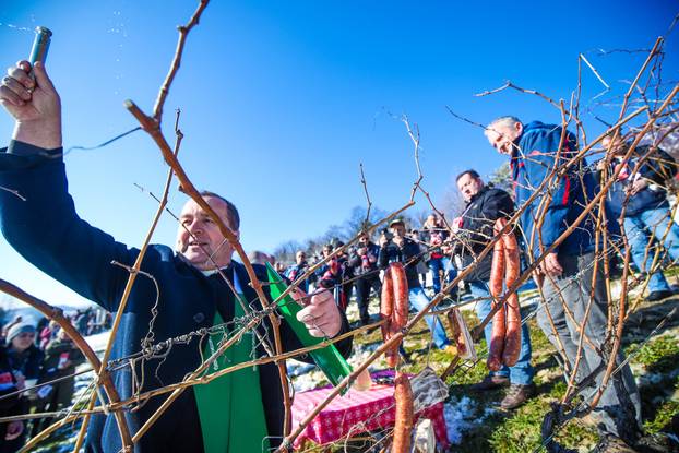 U Kašinskoj Sopnici održana ceremonija kićenja, zalijevanja i rezanja trsa povodom blagdana sv. Vinka
