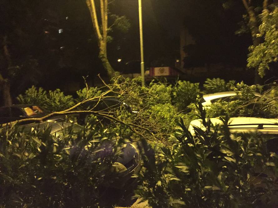 Vjetar nasukao brodove, čupao drveće, nestajalo je i struje...