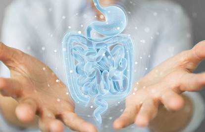 Genetskom analizom crijevnog mikrobioma možete otkriti uzroke zdravstvenih problema