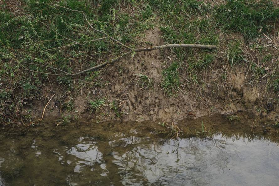 Dabrovi u Novom Marofu rade probleme: 'Ukrali su 200 letvi radnicima i odnijeli ih u potok'