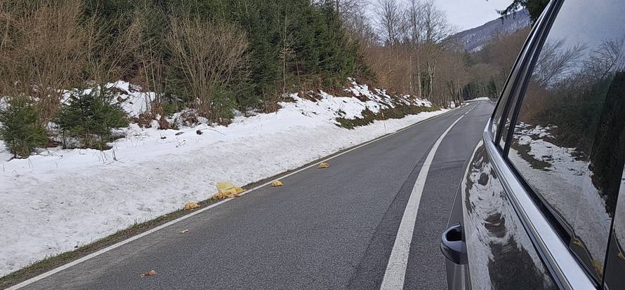 FOTO Pilići se rasuli po cesti blizu Skrada: 'Nije lijep prizor'
